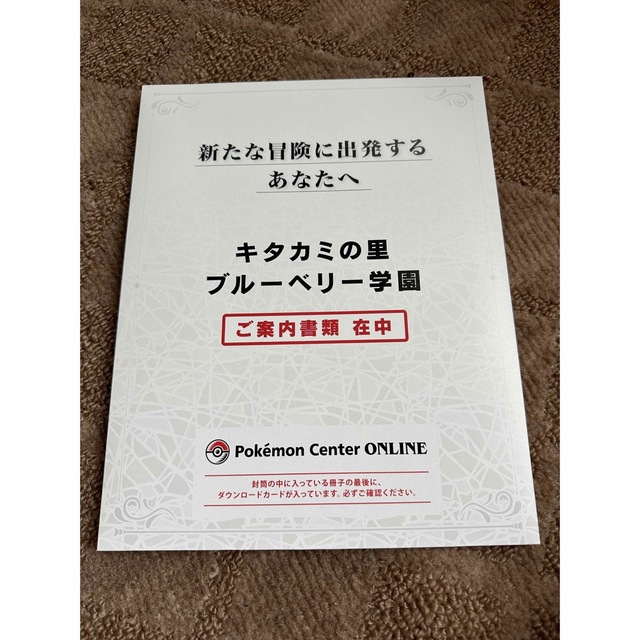 ポケモン(ポケモン)のゼロの秘宝 未使用 購入特典付き エンタメ/ホビーのゲームソフト/ゲーム機本体(家庭用ゲームソフト)の商品写真