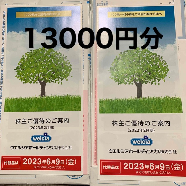 ウエルシア株主優待申込ハガキ　10000円分×1枚　D