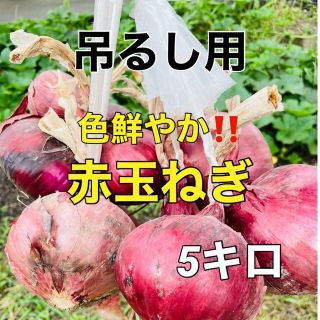 今年も販売します‼️赤玉ねぎ吊るし用❗️5キロ入‼️(野菜)