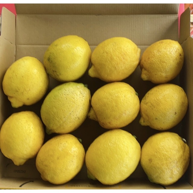 国産瀬戸田レモン農薬不使用 食品/飲料/酒の食品(フルーツ)の商品写真