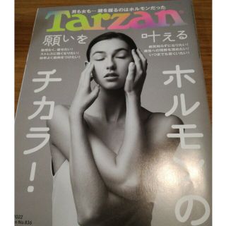 Tarzan (ターザン) 2022年 7/14号(その他)