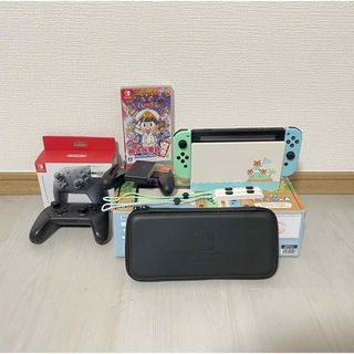 Nintendo Switch - 任天堂Switch どうぶつの森ver.