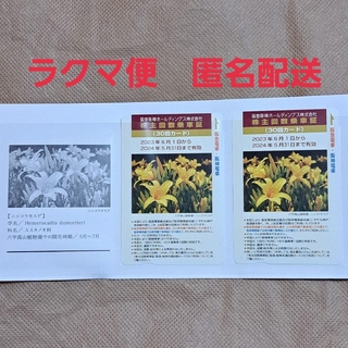 阪急　阪神　株主回数乗車証　全線有効　60回分　期限2024年5月末(鉄道乗車券)