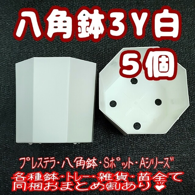 《3Y》カネヤ 八角鉢 白 5個 他 プラ鉢 多肉植物 プレステラ ハンドメイドのフラワー/ガーデン(プランター)の商品写真