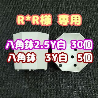 《3Y》カネヤ 八角鉢 白 5個 他 プラ鉢 多肉植物 プレステラ(プランター)