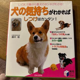 犬の気持ちがわかればしつけはカンタン！(住まい/暮らし/子育て)