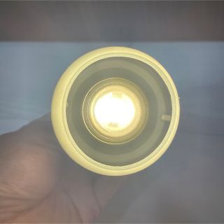 snow peak スノーピーク たねほおずき 希少カラー 緑 グリーン | www