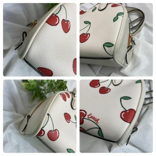 COACH レザー チェリー ミニ ドーム サッチェル 2Way CF421-