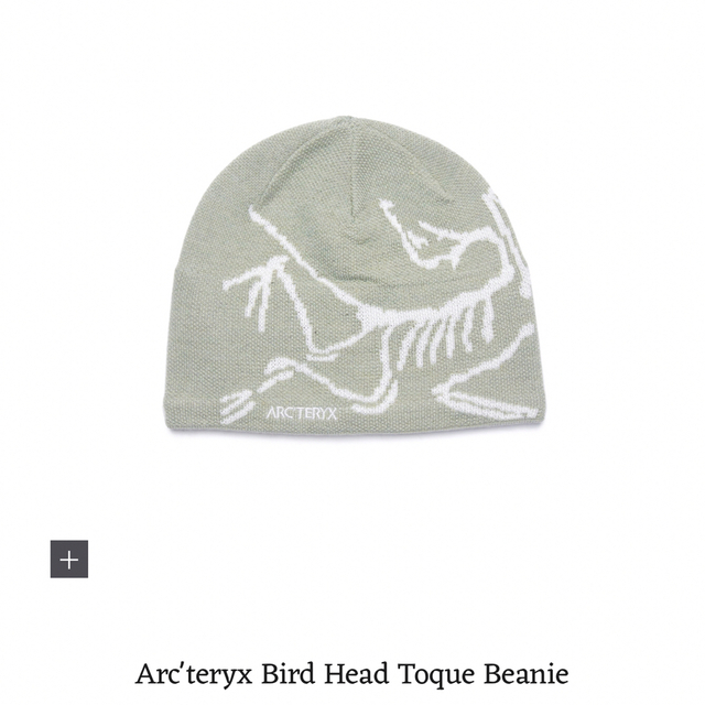 Arc'teryxアークテリクスBird Head Toque Beanie