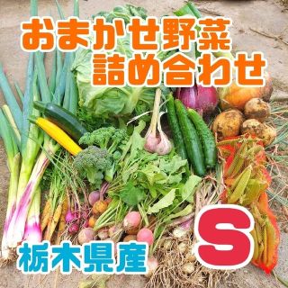 おまかせ野菜詰め合わせBOX【S】(野菜)