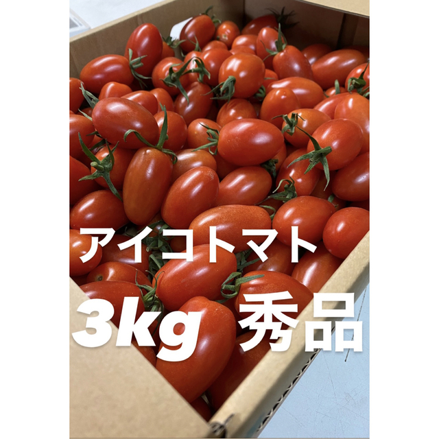 極旨 極甘 アイコトマト3kg秀品 食品/飲料/酒の食品(野菜)の商品写真