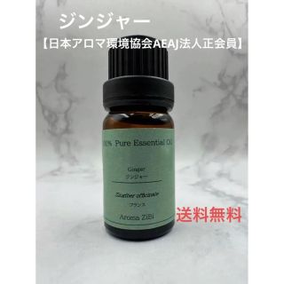 ジンジャー　アロマ　精油　10ml(エッセンシャルオイル（精油）)