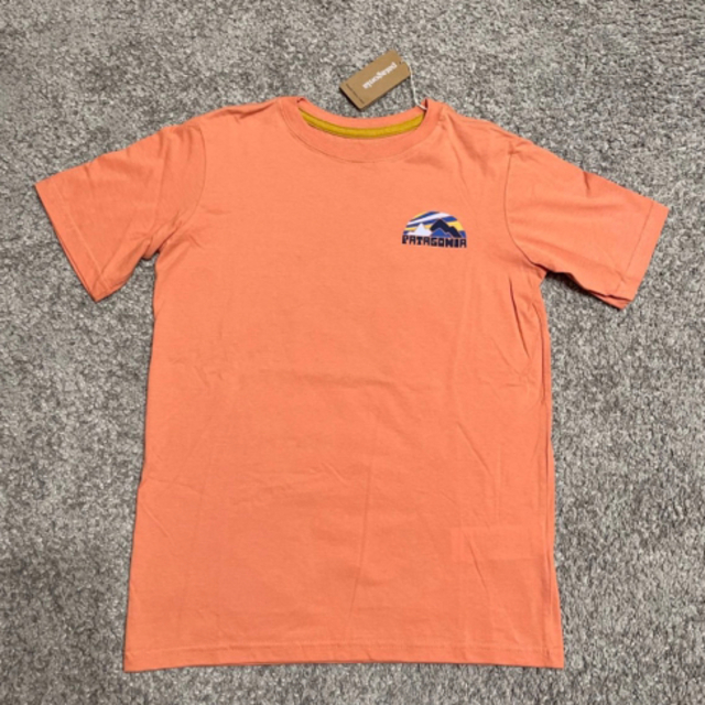 patagonia(パタゴニア)の[新品] patagonia パタゴニア ボーイズ 半袖Tシャツ M(10) キッズ/ベビー/マタニティのキッズ服男の子用(90cm~)(Tシャツ/カットソー)の商品写真