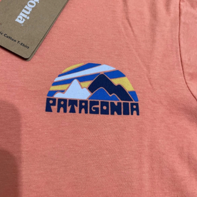 patagonia(パタゴニア)の[新品] patagonia パタゴニア ボーイズ 半袖Tシャツ M(10) キッズ/ベビー/マタニティのキッズ服男の子用(90cm~)(Tシャツ/カットソー)の商品写真