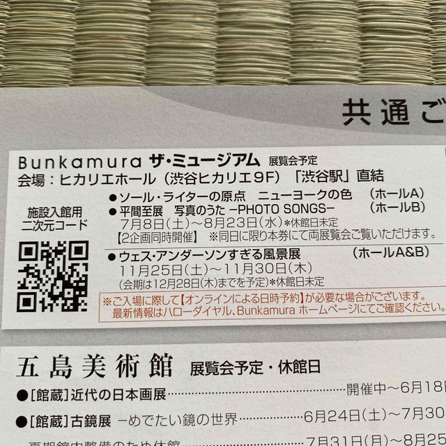 ソール・ライターの原点　ニューヨークの色　東急　株主優待共通ご招待券 チケットの施設利用券(美術館/博物館)の商品写真