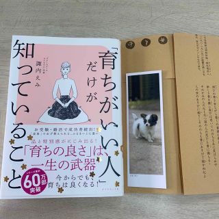 ダイヤモンドシャ(ダイヤモンド社)の「育ちがいい人」だけが知っていること(その他)