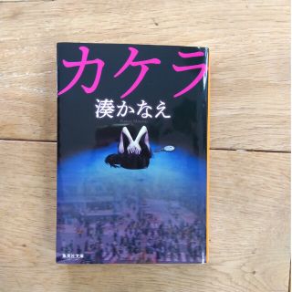 カケラ(文学/小説)