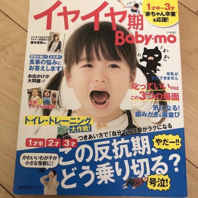 主婦と生活社(シュフトセイカツシャ)のイヤイヤ期育児本 エンタメ/ホビーの雑誌(結婚/出産/子育て)の商品写真