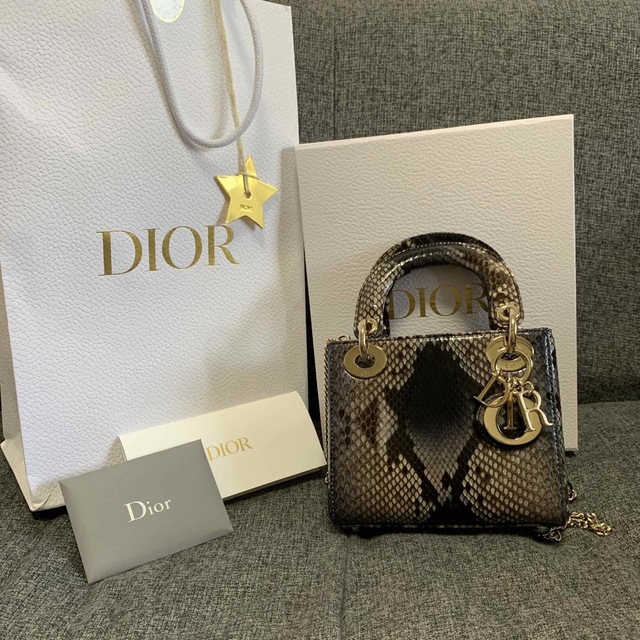 DIOR(ディオール)レディディオール　パイソン【店舗購入】