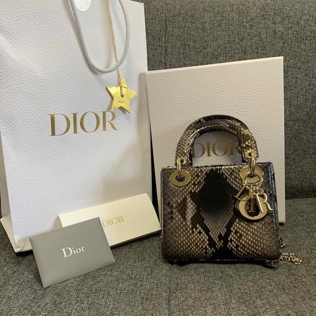 Dior(ディオール)のDIOR(ディオール)レディディオール　パイソン【店舗購入】 レディースのバッグ(ハンドバッグ)の商品写真