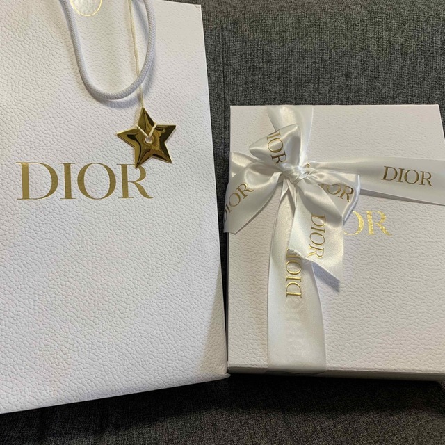 Dior(ディオール)のDIOR(ディオール)レディディオール　パイソン【店舗購入】 レディースのバッグ(ハンドバッグ)の商品写真