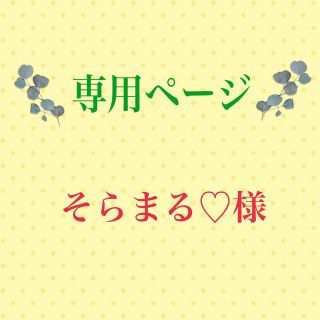 こちらは専用ページになります(アルバム)