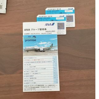 エーエヌエー(ゼンニッポンクウユ)(ANA(全日本空輸))の全日空 株主優待券 2枚セット(航空券)