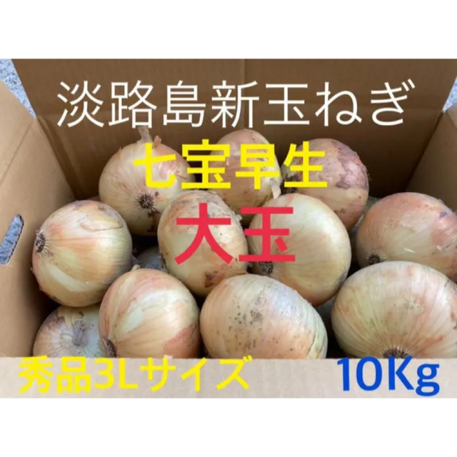七宝早生♦️秀品3Lサイズ10Kg ♦️淡路島新玉ねぎ たまねぎ 玉葱 食品/飲料/酒の食品(野菜)の商品写真