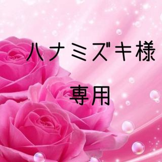 ハナミズキ様専用　お米 令和4年 愛媛県産あきたこまち 玄米 30kg(米/穀物)