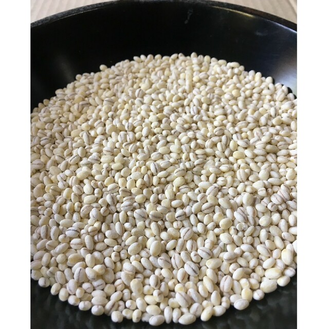 令和6年産!キラリモチ もち麦 10kg 国産 大麦 健康 令和6年産!キラリモチ もち麦 10kg 国産 大麦 健康