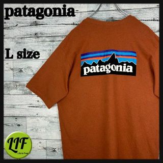 パタゴニア(patagonia)の【希少‼︎】パタゴニア ロゴプリント 半袖 Tシャツ ブラウン 美品(Tシャツ/カットソー(半袖/袖なし))