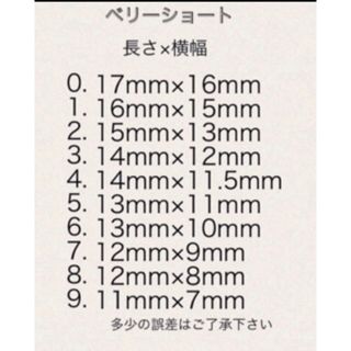 no.428 現品ネイルチップ  コスメ/美容のネイル(つけ爪/ネイルチップ)の商品写真