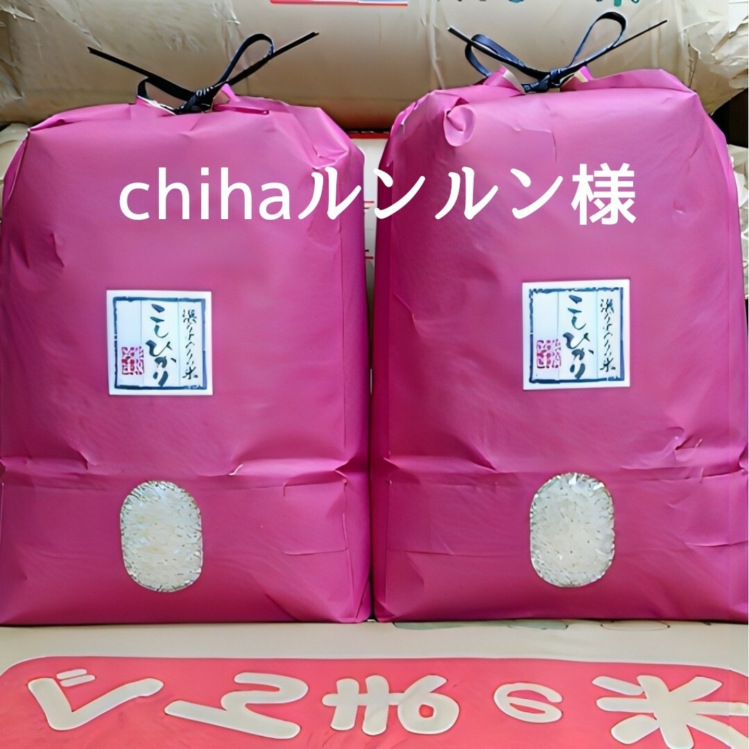 chihaルンルン様 食品/飲料/酒の食品(米/穀物)の商品写真