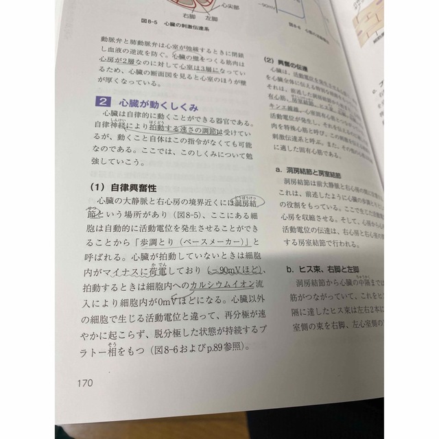 資格/検定ファームプレス　動物看護　コアテキスト全6巻➕問題集1冊