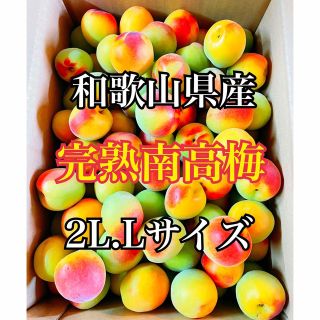 今がお買得！和歌山県産 完熟南高梅　2L.Lサイズ　2kg(フルーツ)