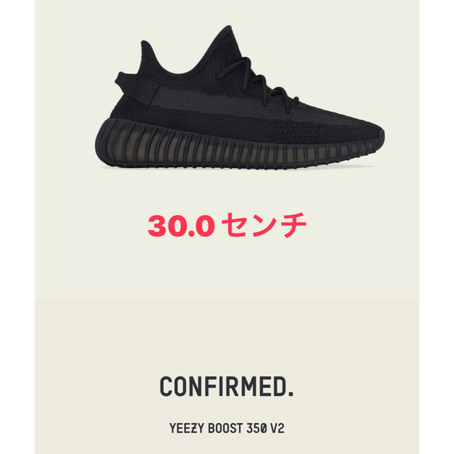 注意事項YEEZY BOOST 350 V2  ONYX 30センチ