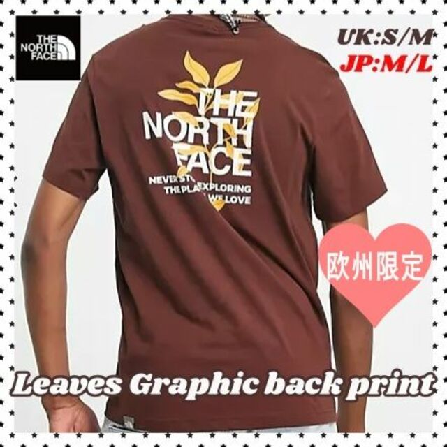 The North Face Leaves グラフィック T シャツ