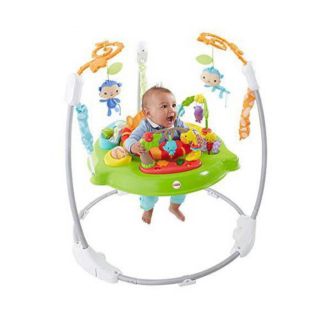 フィッシャープライス(Fisher-Price)の【美品】フィッシャープライスレインフォレスト･ジャンパルー2(その他)