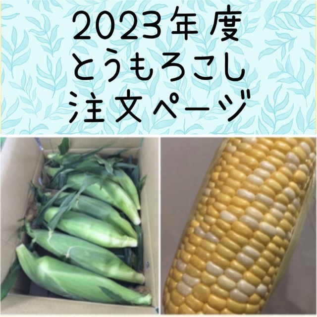 BRMGDC　2023年度とうもろこし注文ページ野菜　価格販売中