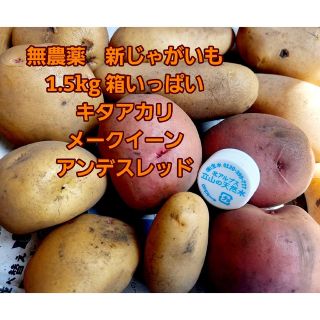 無農薬　新じゃが芋【キタアカリ・メークイーン・アンデスレッド】箱いっぱい1.5k(野菜)