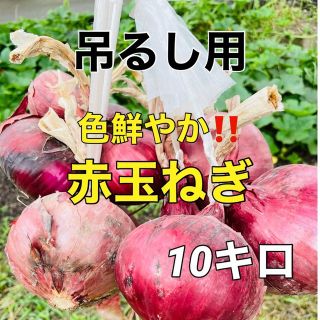 【今年も販売‼️】吊るせる赤玉ねぎ10キロ入‼️(野菜)