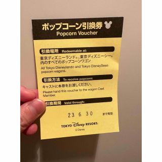 ディズニー(Disney)のおもちさん専用(遊園地/テーマパーク)