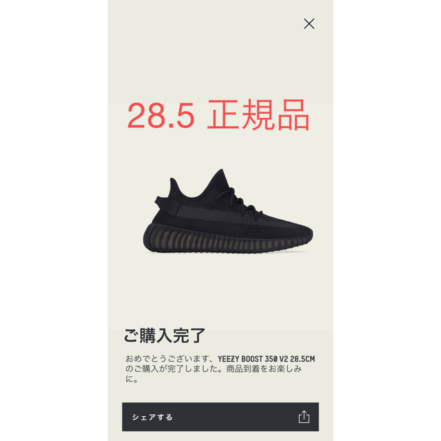 adidas yeezy boost 28.5靴/シューズ