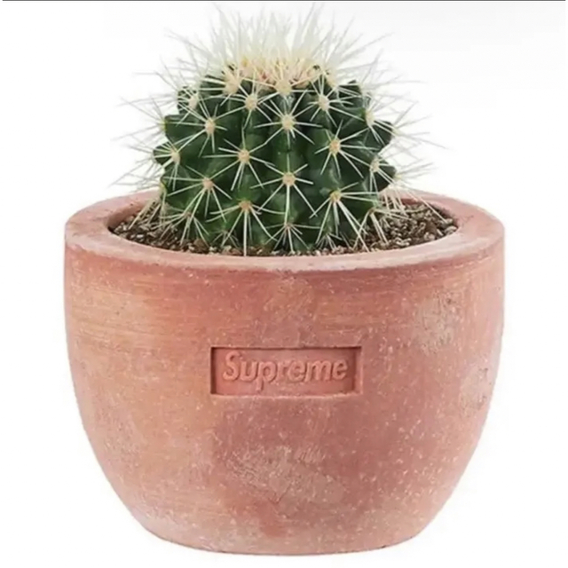 Supreme(シュプリーム)のSupreme Poggi Ugo Small Planter シュプリーム S ハンドメイドのフラワー/ガーデン(プランター)の商品写真