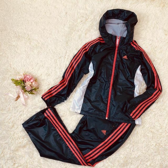 adidas レディース ジャージセット 上下 スポーツ 運動 春 アディダス