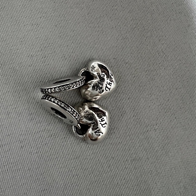 PANDORA パンドラ シルバー チャーム | capacitasalud.com
