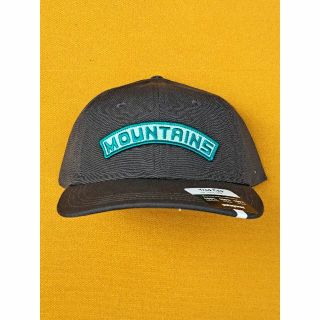 パタゴニア(patagonia)のパタゴニア Trad Cap PLAYLANDS キャップ FGMO(キャップ)