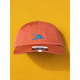 パタゴニア(patagonia)のパタゴニア Trad Cap VISION MISION キャップ SPRE(キャップ)