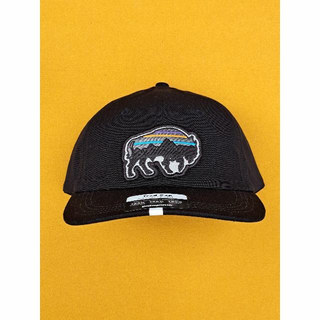 patagonia(パタゴニア)のパタゴニア Trad Cap BACK FOR GOOD キャップ BLBI メンズの帽子(キャップ)の商品写真