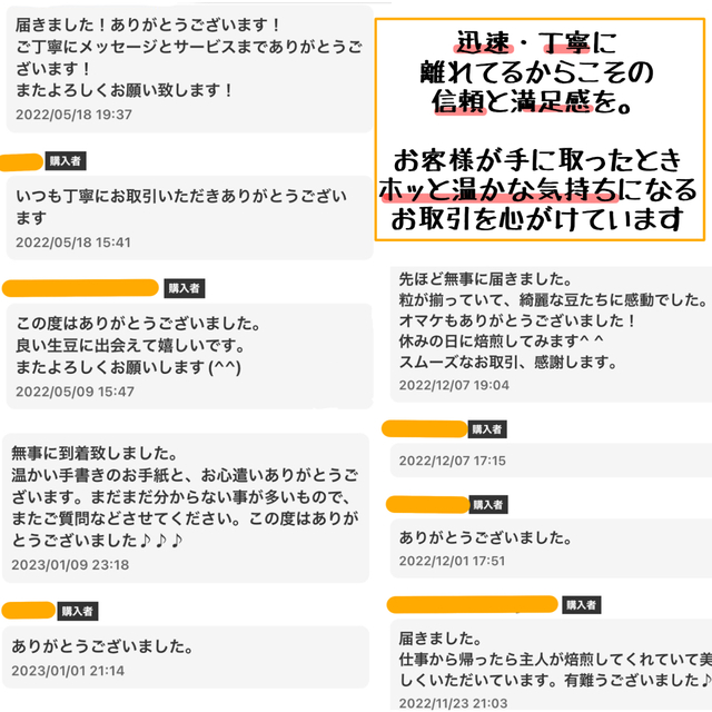 生豆 ブラジル ショコラクイーン スペシャリティー　厳選　珈琲　コーヒー　 食品/飲料/酒の飲料(コーヒー)の商品写真